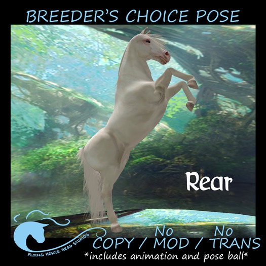 Breeder's Choice Photo Pose-  Rear