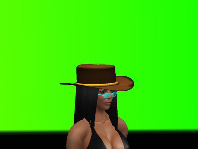 Brown Felt Hat ( boxed)
