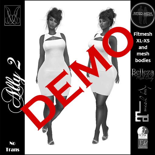 ~JCD Ally DEMO Mesh Dress (bagged)