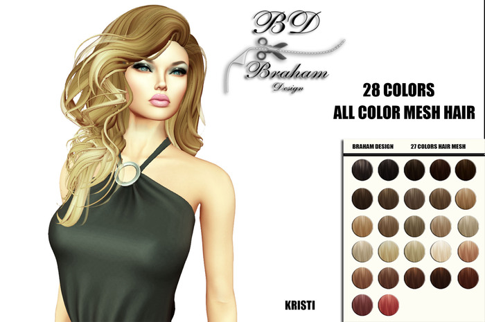 Braham Design Kristi 28 Color Mesh Hair
