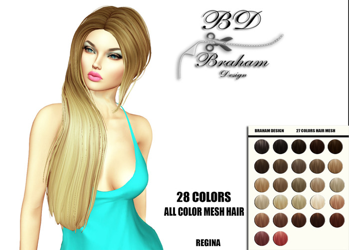 Braham Design Regina 28 Color Mesh Hair
