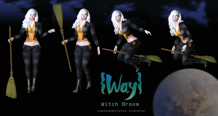 {Way} Witch Broom PACK