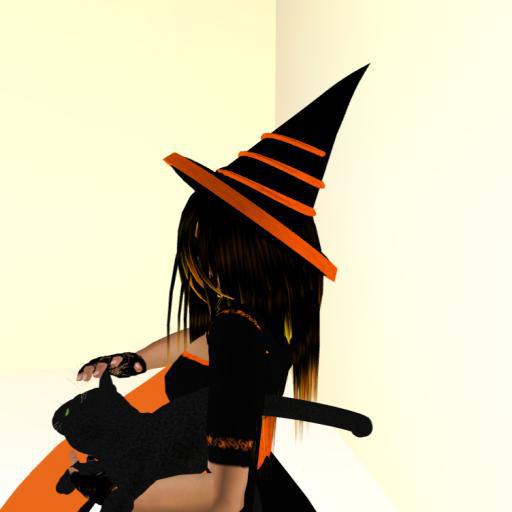 Halloween witch hat