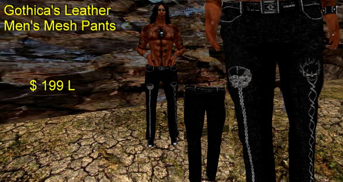 Gothica's Mens Mesh Leather Pants