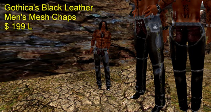 Gothica's Mens Mesh  Leather Chaps