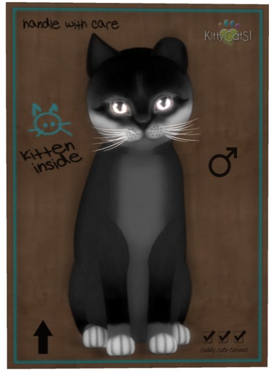 KittyCatS Box - Foxie - Soft Black