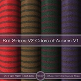 {L} Knit-Striped V2-Colors of Autumn V1