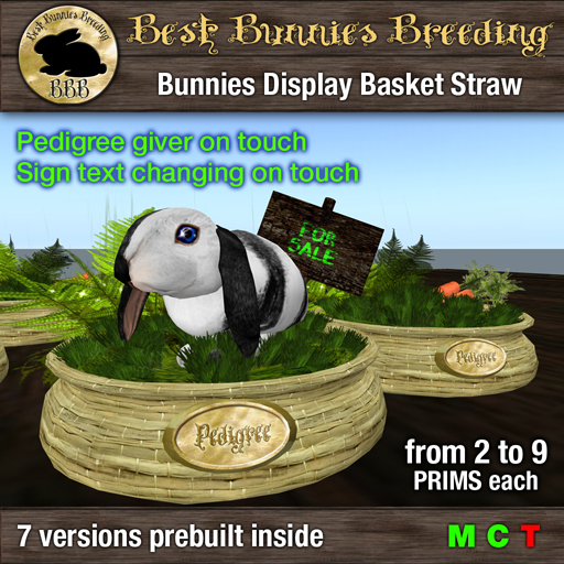 Bunnies Basket Display - B