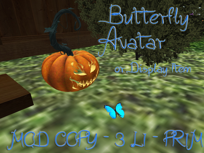 Butterfly Avatar