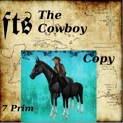 The Cowboy (MP)