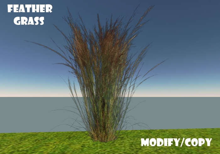 Feather Grass (Flexi)