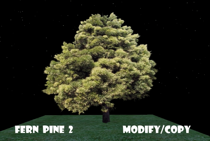 Fern Pine Tree 2 (Flexi)