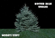 Koster Blue Spruce Tree (Flexi)