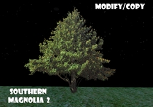 Southern Magnolia Tree 2 (Flexi)