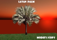 Latan Palm Tree (Flexi)
