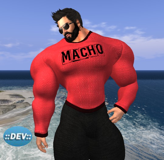 [D.Cavalieri] -  Mesh Long Sleeved - Macho -