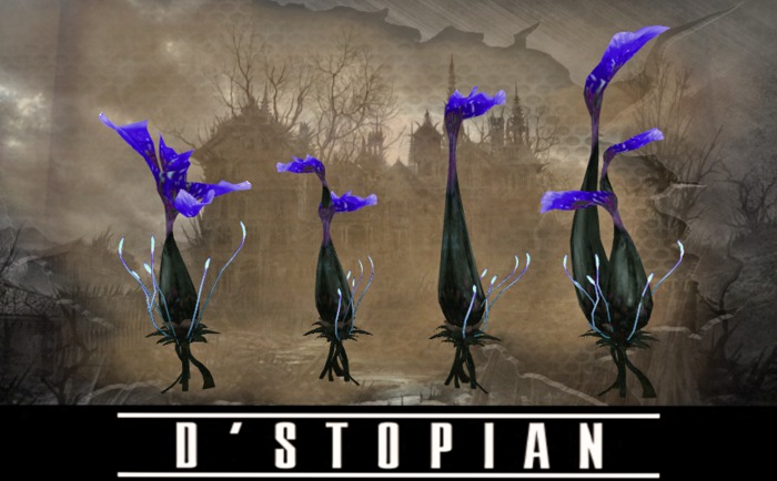 D'STOPIAN // Zantedeschia Albus Blue