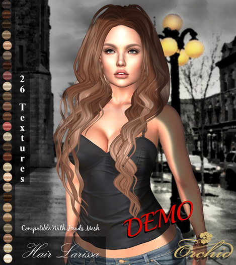 DEMO_Hair Larissa HUD