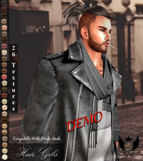 DEMO_Hair Gibs HUD