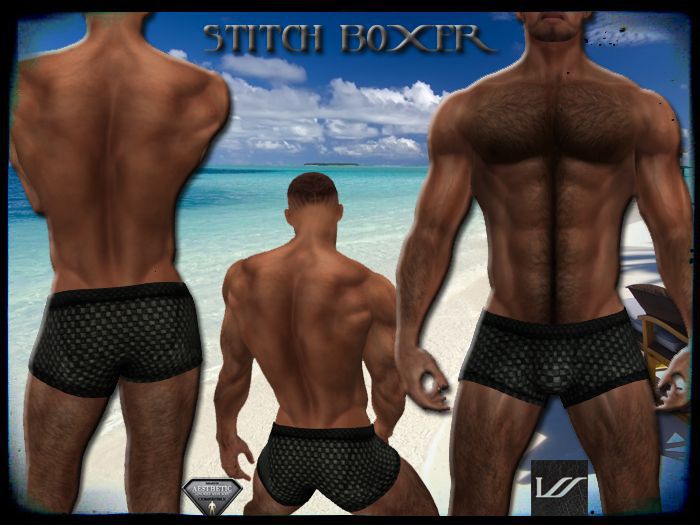 Stitch Boxer - discount