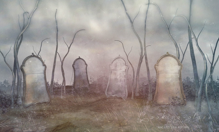 2){anc} Looking-glass. {magic mirror} HEAVEN RARE