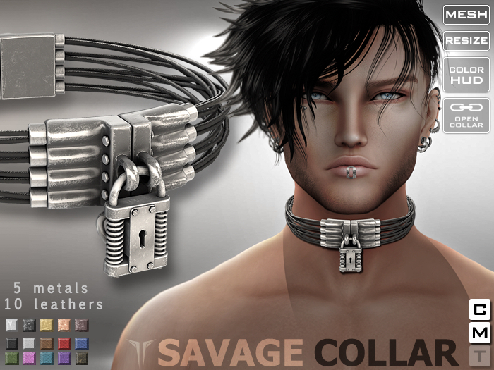 **RE** Savage Collar BOX