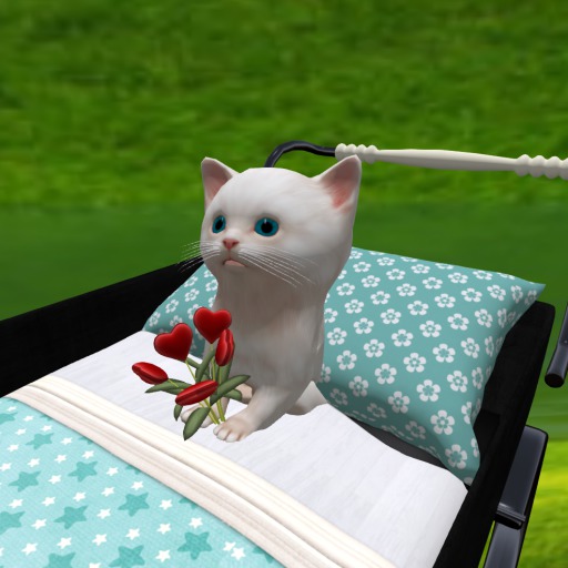 Pram with kitten and heartbouquet