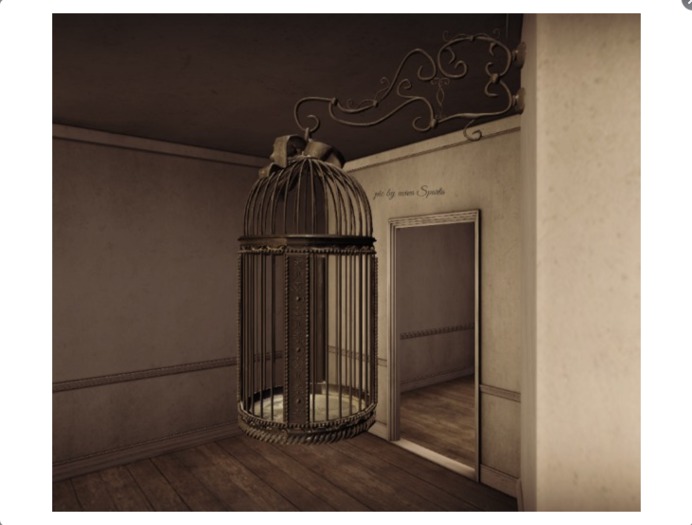 4.-DRD- MM2 Birdcage