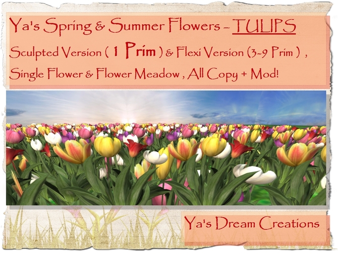 *Ya's* Tulips- Sculpted and Flexi Version- Copy + Mod!