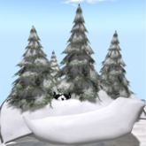 Winter Scene w Squirrel family