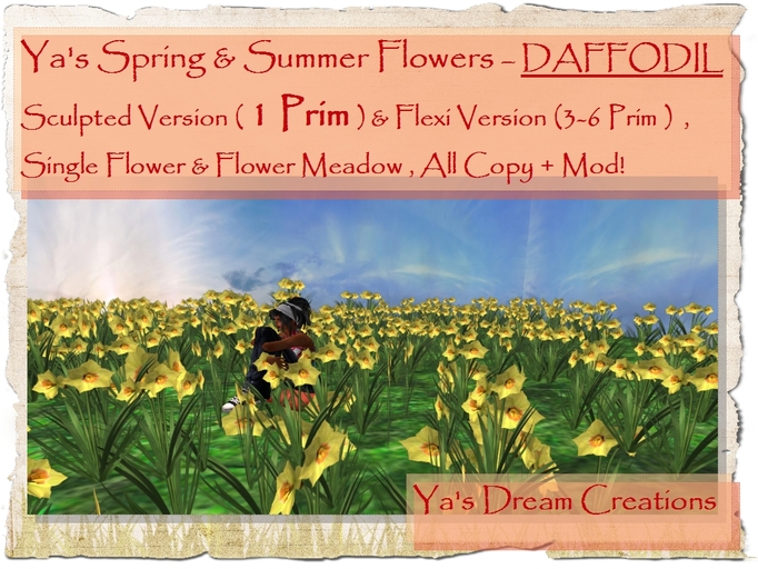 *Ya's* Daffodil - Sculpted and Flexi Version- Copy+Mod!