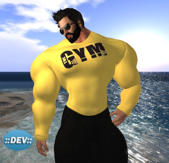 [D.Cavalieri] Mesh Long Sleeved - Gym