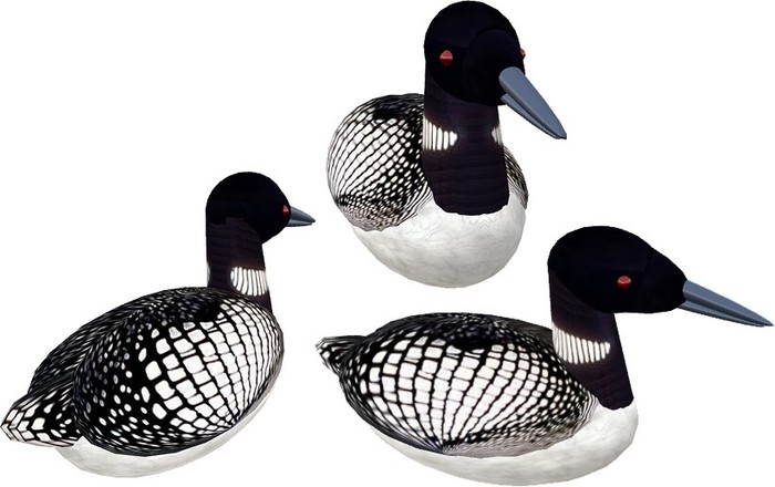Copyable Loon; unscripted and swimming, with and without sound (3 versions included)