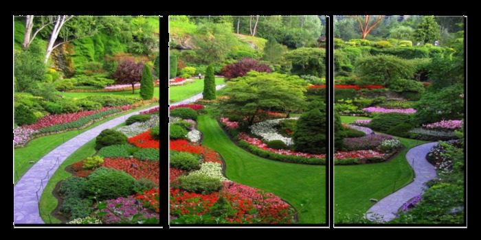 Photo Garden