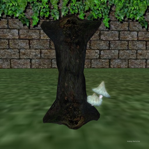 {Papillon} [Boxed] Mysterious Stump
