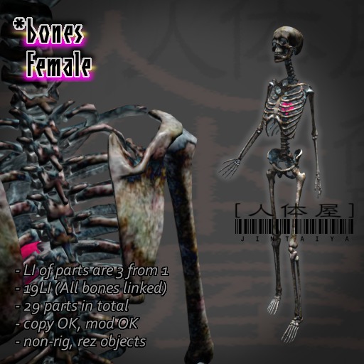 BONES / Female ★ Fleely Assemble 29 parts