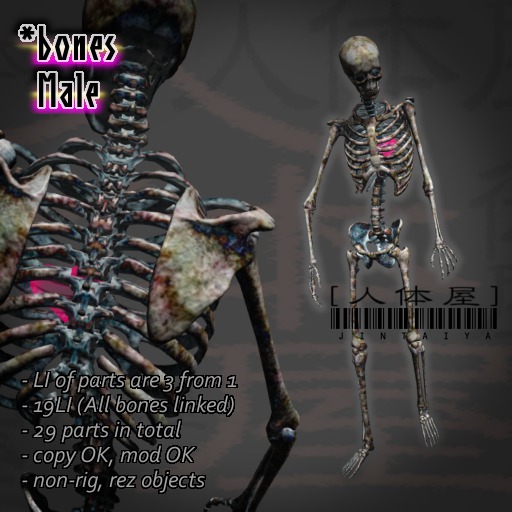 BONES / Male ★ Fleely Assemble 29 parts