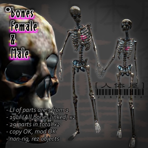 BONES / Female & Male ★ Fleely Assemble 29x2 parts