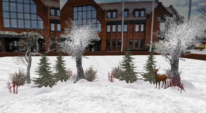 winter land