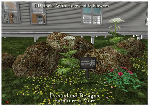 DD Rocks With Hogweed & Flowers