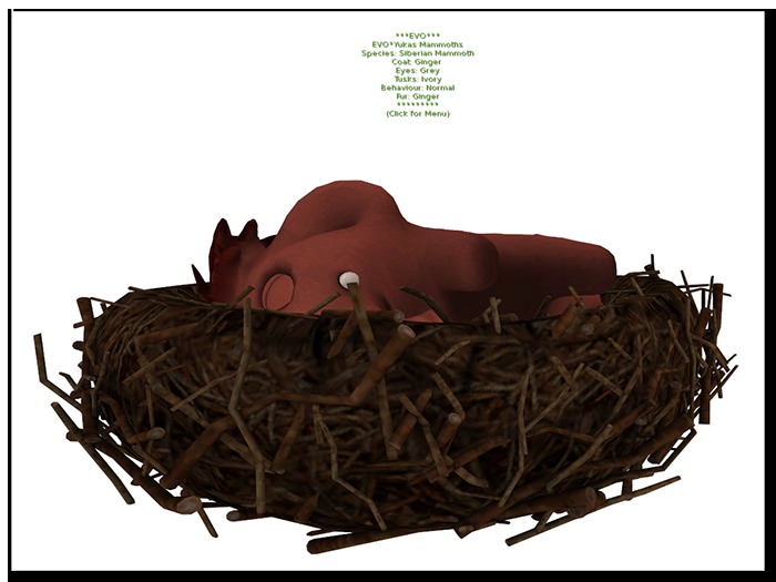 EVO*Yukas - #05F1A Siberian Ver.2016