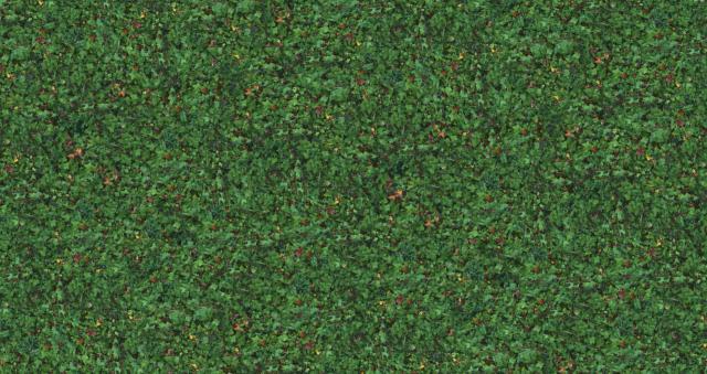 Seamless texture Grass_6