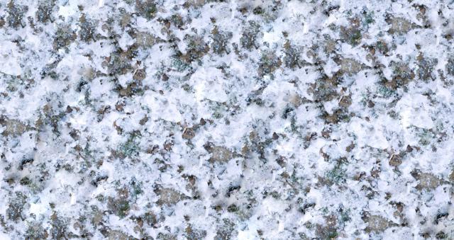 Seamless texture show_555705