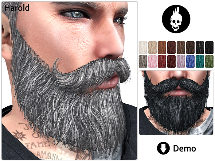 Action Inkubator Beard Harold DEMO