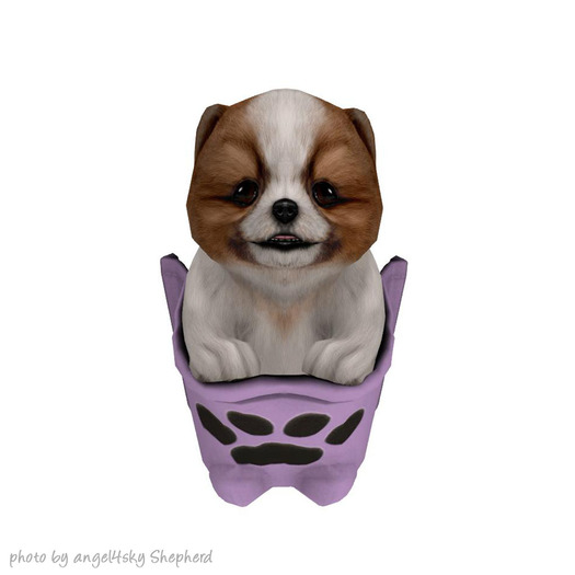 JIAN PeeWee Puffs :: Pocket Bi-Color BOX