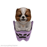 JIAN PeeWee Puffs :: Pocket Bi-Color BOX