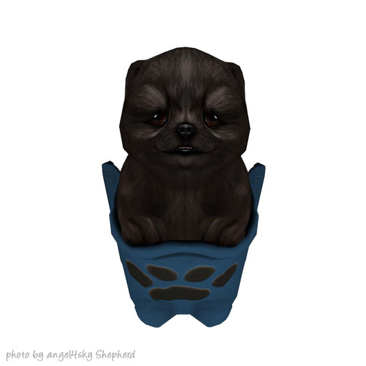 JIAN PeeWee Puffs :: Pocket Black BOX