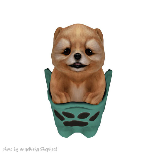 JIAN PeeWee Puffs :: Pocket Sable BOX