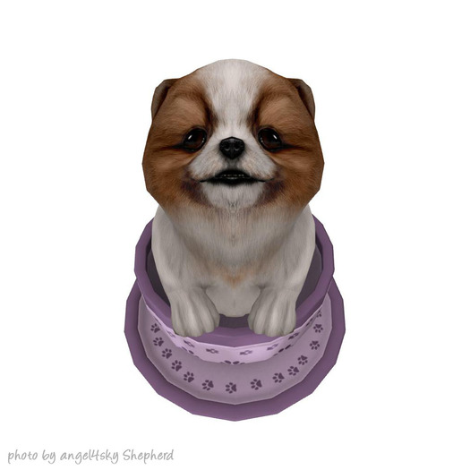 JIAN PeeWee Puffs :: Tea Cup Bi-Color BOX