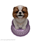 JIAN PeeWee Puffs :: Tea Cup Bi-Color BOX